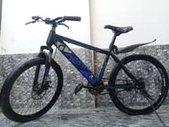 24"inches GERIK Bicycle