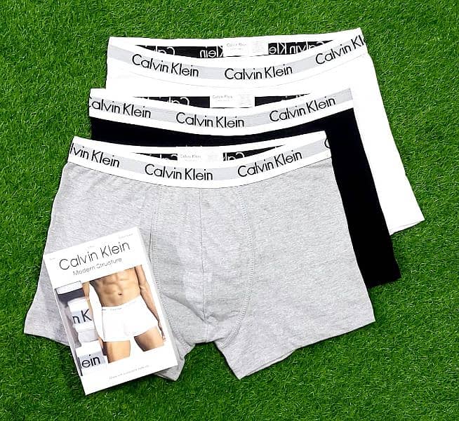 Mens Shorts Trunk Export Quality 6