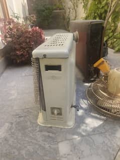 Nas gas dual zone gas heater