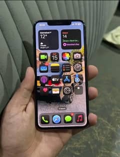 i phone 11 pro max 256 gb pta approved