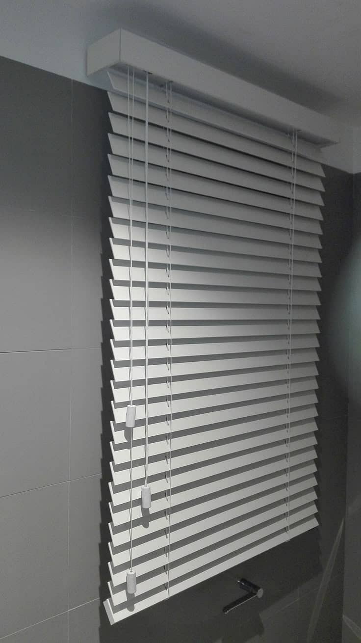 roller window blind, motorized blind, zebra blind,forsting glasspapr 2