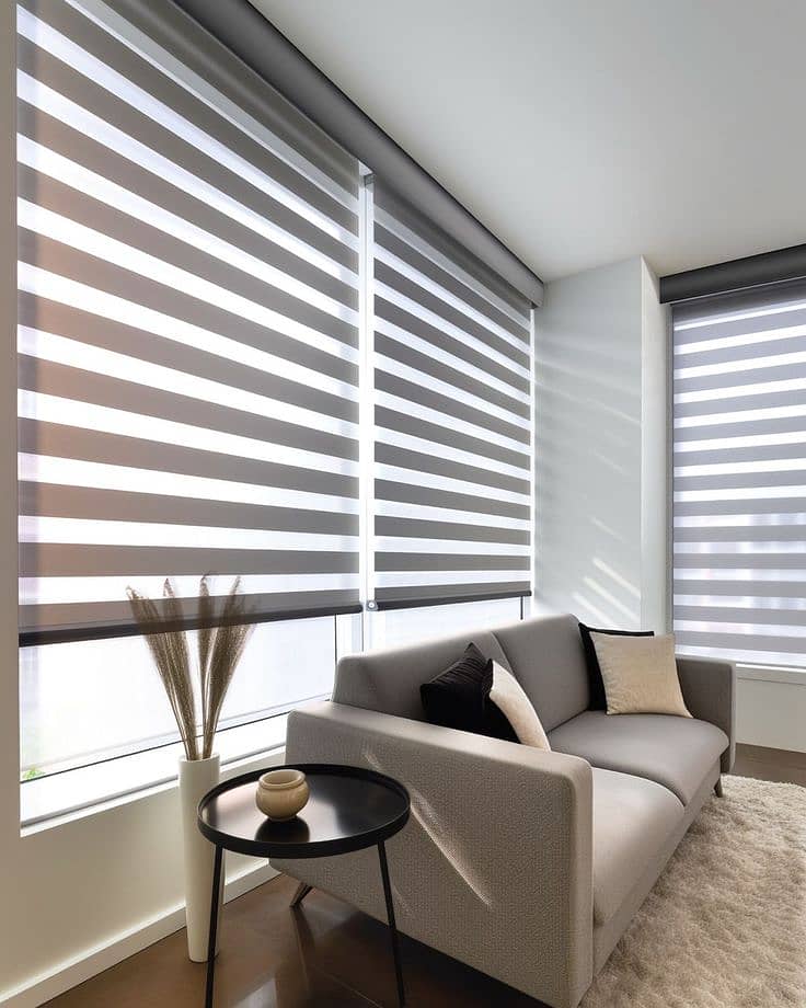 roller window blind, motorized blind, zebra blind,forsting glasspapr 4