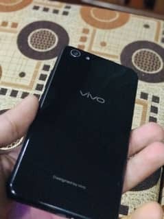 vivo