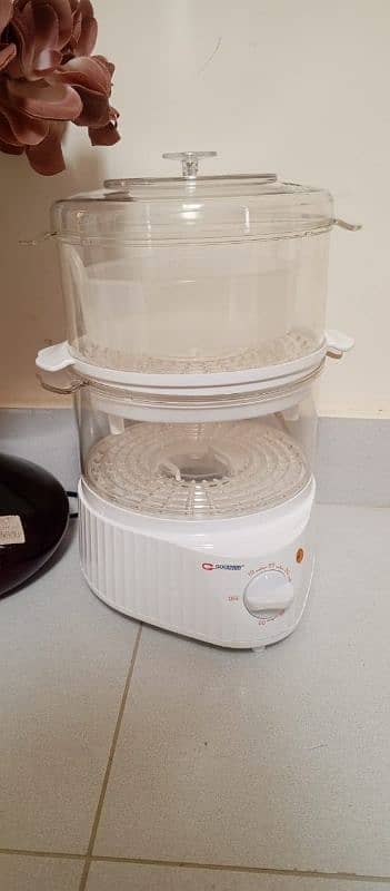 Food Steamer 2