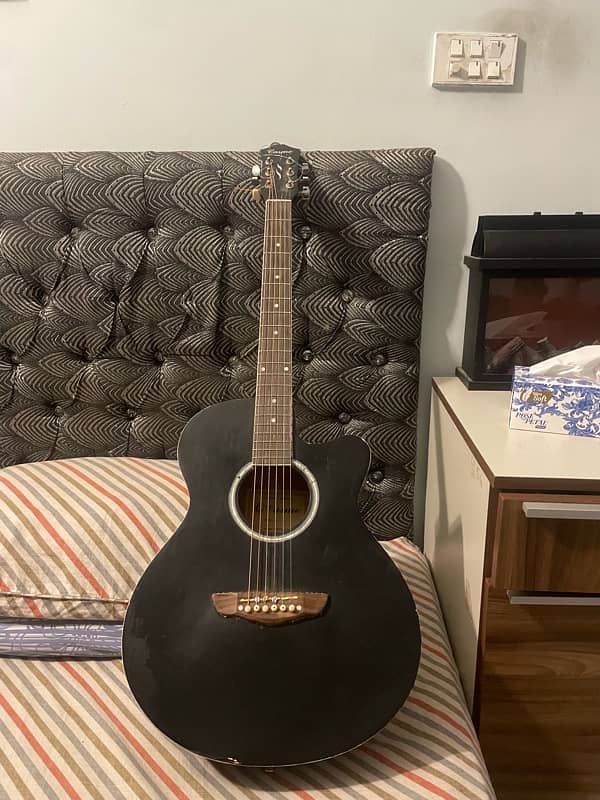 acoustic guitar 2