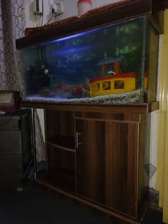 Storage Aquarium with 10 fish and accessories