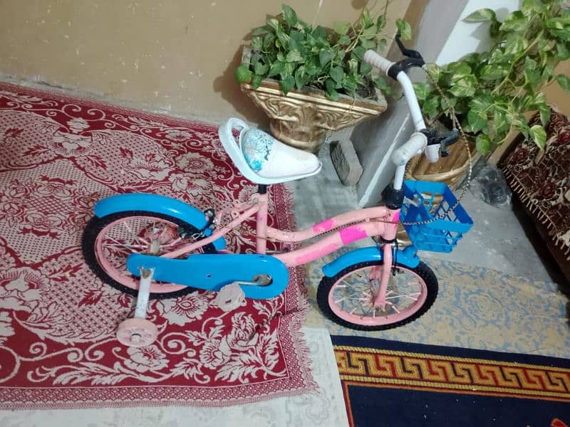 Imported cycle For Kids 1