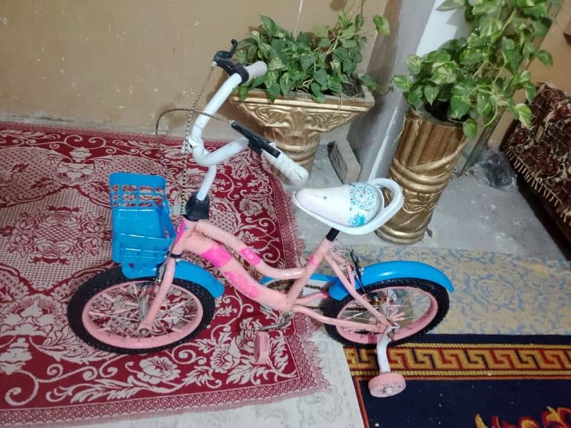 Imported cycle For Kids 2