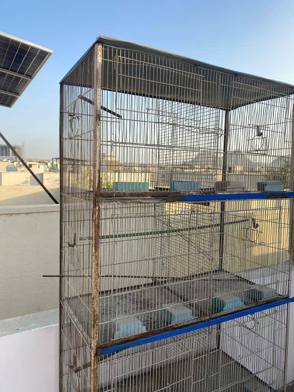 8 portion cage | love birds cage | animal cage | pinjra | hen cage 3