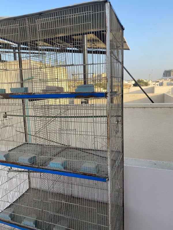 8 portion cage | love birds cage | animal cage | pinjra | hen cage 4