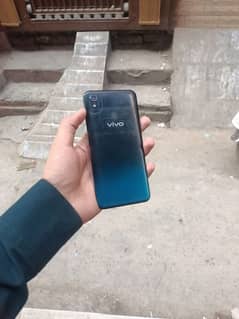 vivo