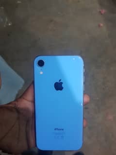 I phone  xr pta appvoed