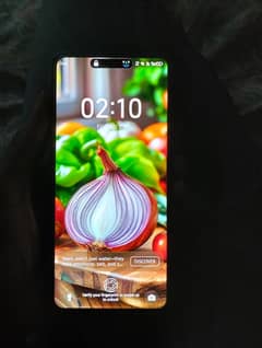 Camon 20 256 GB