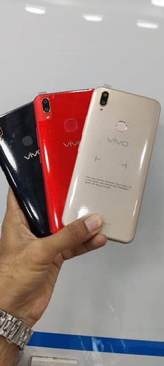 Vivo