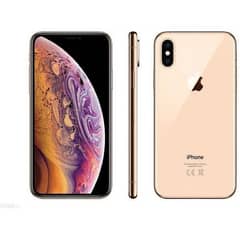 xs max factory 256