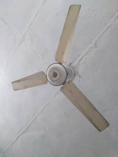 3 sealing fans