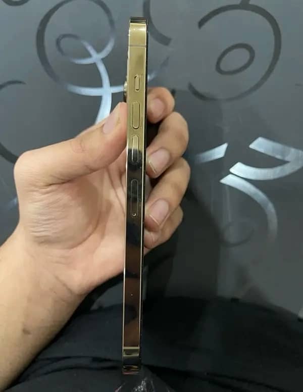 iPhone 13 pro pta approved 1