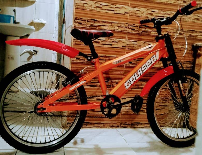 bicycle impoted 20 inch brand new 5 month used call no 03149505437 1