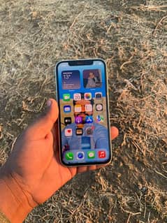 Iphone 12 Non pta Not jv add read 64GB. . . 3135864247