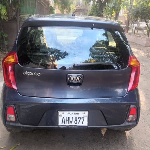 KIA Picanto 2022 Bumper to Bumper 1