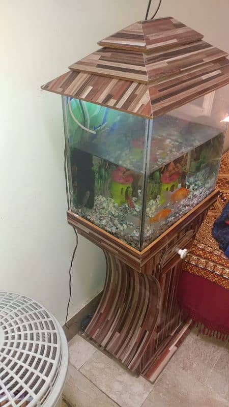 Fish Aquarium 0