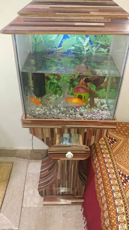 Fish Aquarium 2