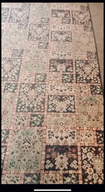 Carpet | 20 peice | 27.5ft*6.5ft |Used in Marriage Hall | Heavy Kaleen 2