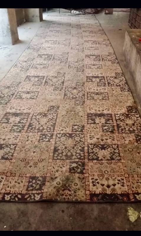 Carpet | 20 peice | 27.5ft*6.5ft |Used in Marriage Hall | Heavy Kaleen 3