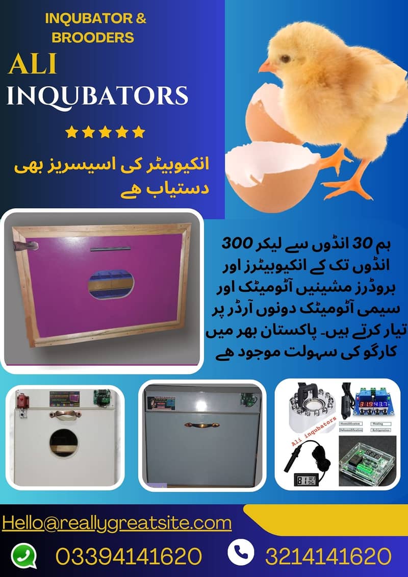 inqubators & brooders علی انکیوبیٹر 1