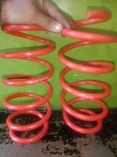 Honda rebirth lowering springs