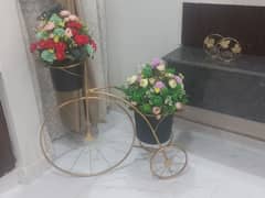 flower cycle