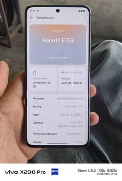 Oppo Reno 11F 5G 8/256 Palm Green colour