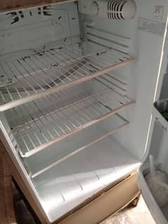 he is a old fridge very cheap price