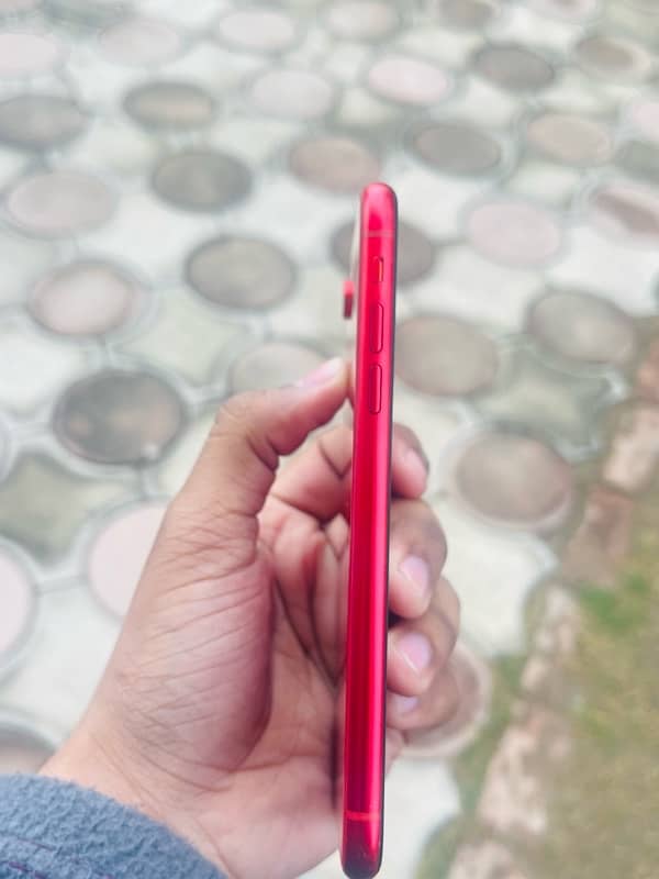 Iphone Xr Red colour 1