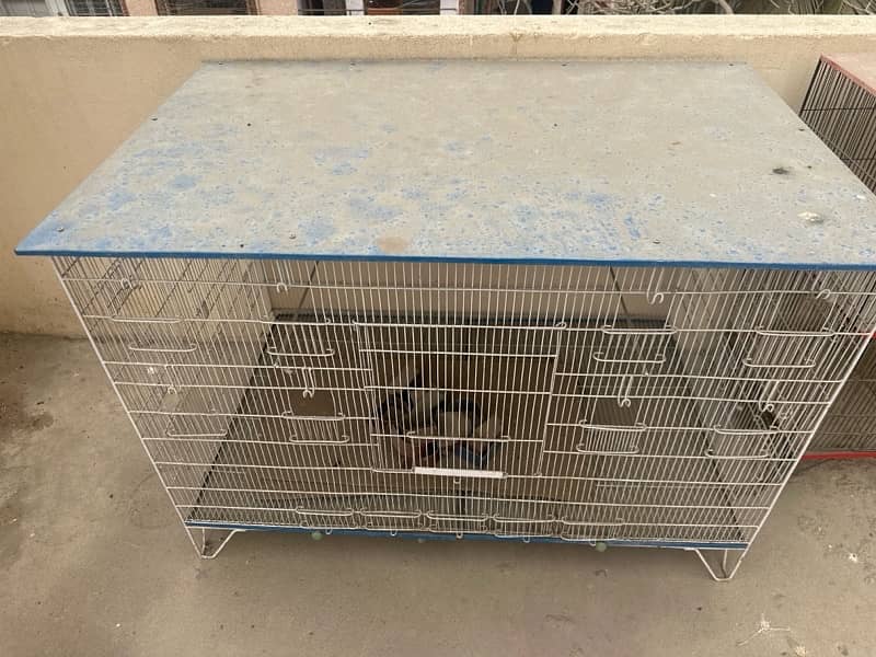 new condition hens cage 1