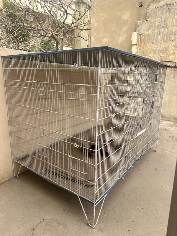 new condition hens cage 2