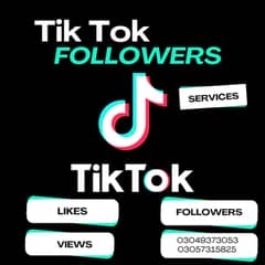 Views /Followers /Subscribers/TikTok/Instagram/YouTube/Facebook