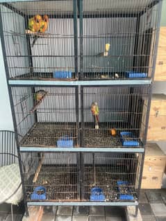 Cage for sale