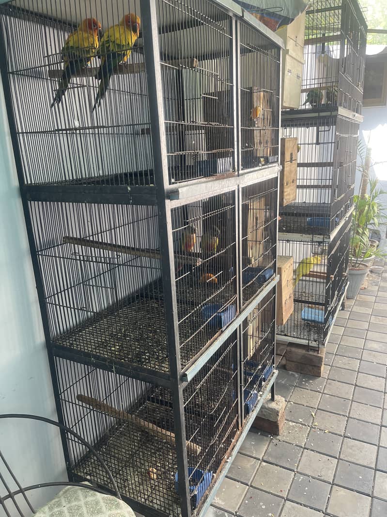 Cage for sale 1