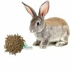 rabbits feed