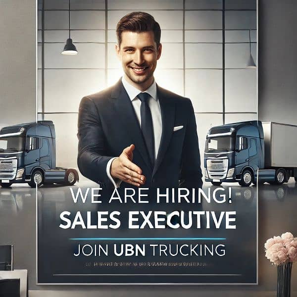 sales executive 1