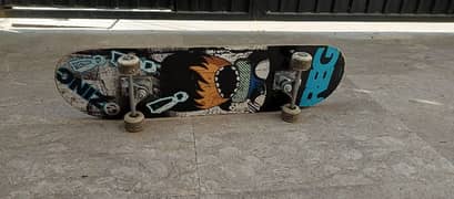 2 Skateboard (used)