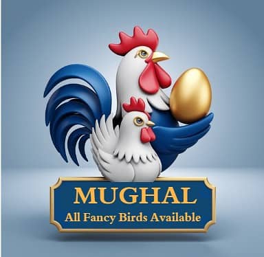 _MUGHAL