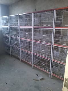 cages for sale