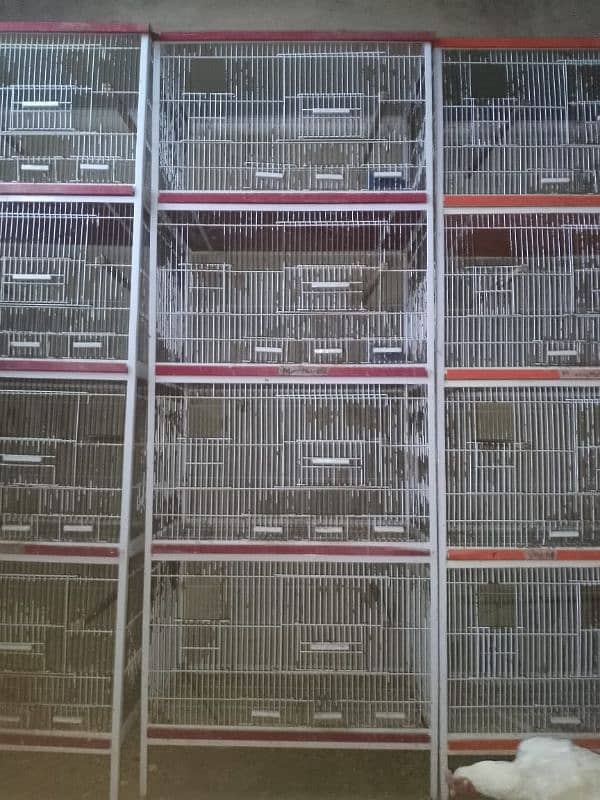 cages for sale 1