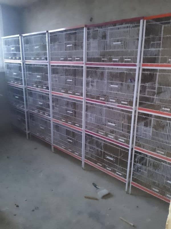 cages for sale 4