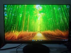 24 inch ips display 75hz lcd monitor