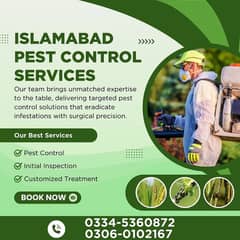 Termite control | Deemak control | Dengue spary,Fumgation Service