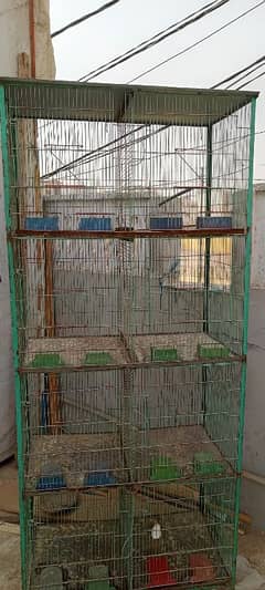 8 portion cages