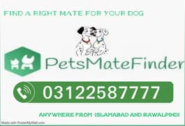 Pet breeding services, Pet mating, Dog mating, Pet breeders near me